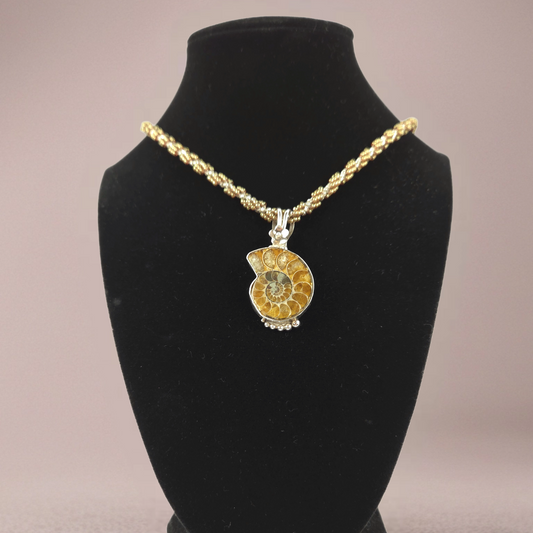 Ammonite Fossil Pendant Necklace Set in Sterling Silver with Twisted Beaded Chain and Sterling Silver Clasp 21"
